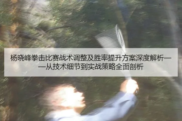 杨晓峰拳击比赛战术调整及胜率提升方案深度解析——从技术细节到实战策略全面剖析